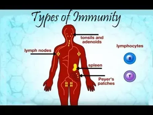 Nephrotec : komposisi hanya bahan-bahan alami.